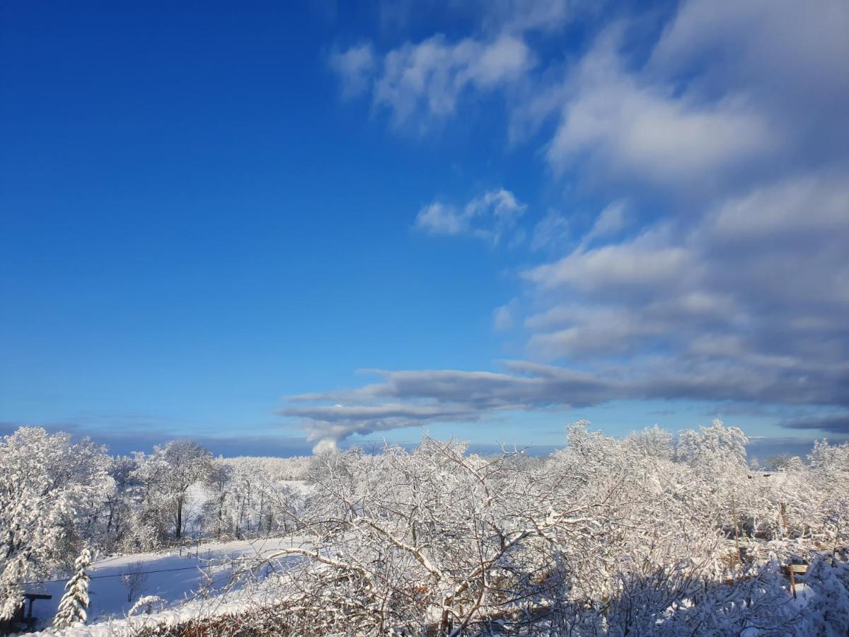 Energetischer Urlaub In Der Eifel Germeter Buitenkant foto